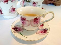 -蝶舍·MAISON PAPILLON