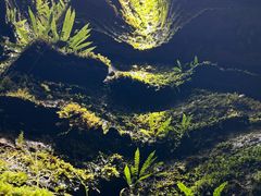 -梭布垭石林景区