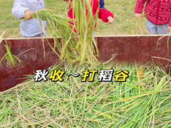 -广东花都香草世界旅游度假区