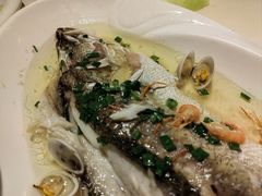 -苔圣园酒家(尊木汇国际艺术广场店)