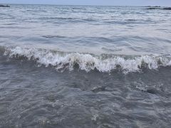 -小麦岛公园