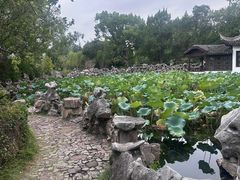 -无锡蠡湖国家湿地公园-蠡园