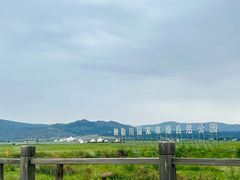 -敕勒川草原