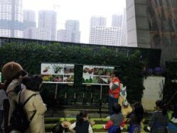 点击看大图 -可可天空农场(中大店)