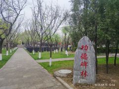 -大槐树寻根祭祖园