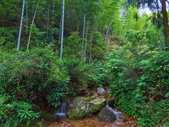 -仙霞关景区