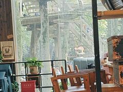 -WeLope紫金山探险公园