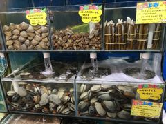 -蚝专家(北滘店)