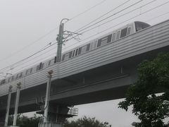 -宝安西湾红树林湿地公园