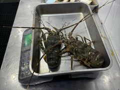 -小海丁