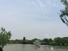 -上海鲜花港
