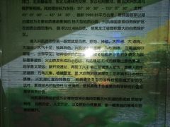 -农垦当壁镇兴凯湖旅游度假区