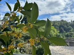 -桃园农庄·桃源宴