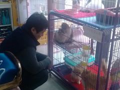 -爱宠屋pet shop·宠物洗澡·宠物美容