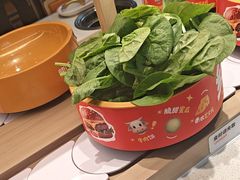 -龍歌自助小火锅(城阳万象汇店)