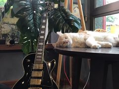 -咖法森林·咖啡  酒吧(天河店)