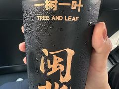 -一树一叶·福建茶档(石鼓路店)
