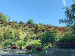 -四明山国家森林公园