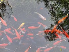 -水磨沟公园