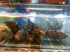 -苏宁广场·城市奥特莱斯(天府立交店)