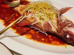 东星斑-三号黄浦会Canton Table