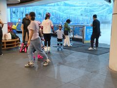 -世界之窗阿尔卑斯冰雪世界