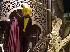 -楼兰新疆主题餐厅(苏州中心店)