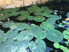 -国家植物园南园