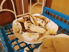 -京川野菌王(总店)