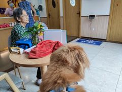 -宠颐生宠物医院·心肾内科·猫专科诊疗中心宠巢店