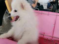 -他她纯乐party量贩KTV(升龙店)
