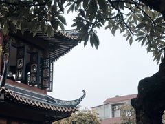 -碧江金楼