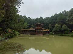 -铁山坪森林公园