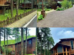 -洛阳白云山景区