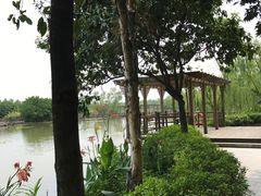 -大湾区中央湿地公园