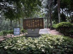 -宋井风景区