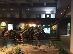 -自贡恐龙博物馆