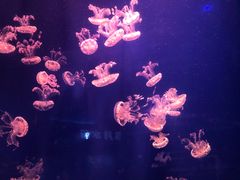 -杭州海底世界