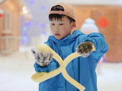 -宁波冰雪大世界(北仑区)