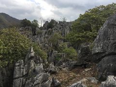 -千岛湖石林