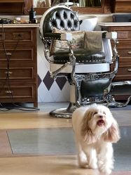 -IMUSE BARBER SHOP