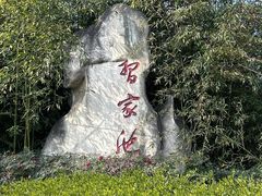 -习家池