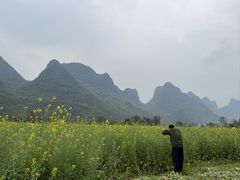 -村上春树