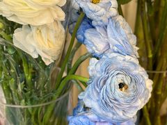 -雕刻时光咖啡馆(北师大店)