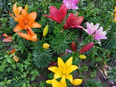 -长春公园(普阳街道)