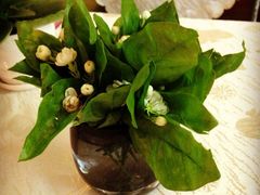 -燕庭·纯燕窝·甜品下午茶(南京西路店)
