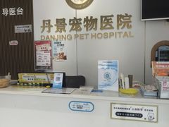 -丹景宠物医院·全科·老年病·牙科(武昌诊疗中心)