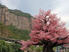 -河南宝泉旅游区