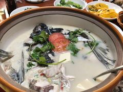 -全乐鱼馆·淳牌有机鱼直营店