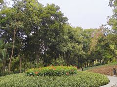 -回龙埔公园